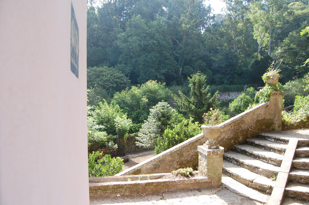 Quinta Do Castanheiro Hotel Sintra Exterior photo